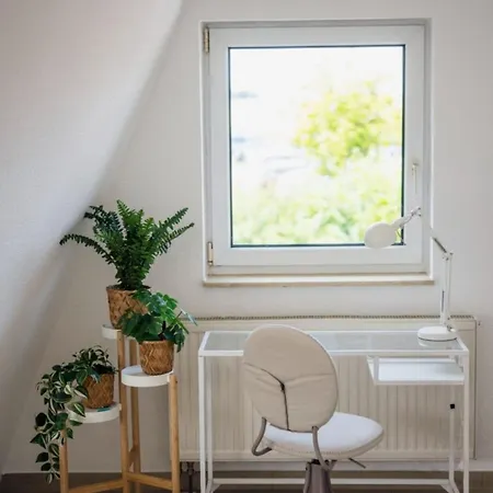 Ausguck Apartment Breege